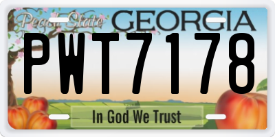 GA license plate PWT7178