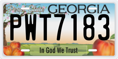 GA license plate PWT7183