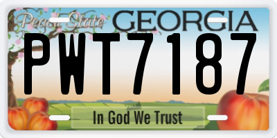 GA license plate PWT7187
