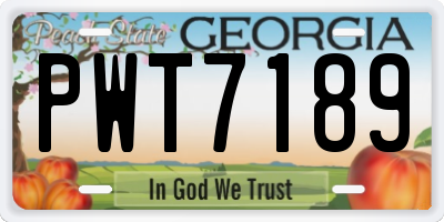 GA license plate PWT7189