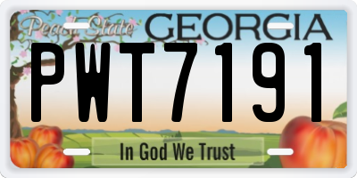 GA license plate PWT7191