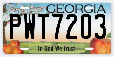 GA license plate PWT7203