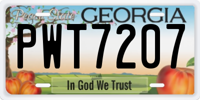 GA license plate PWT7207