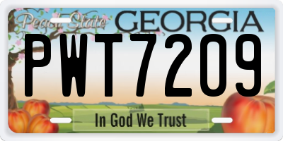 GA license plate PWT7209