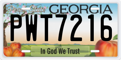 GA license plate PWT7216