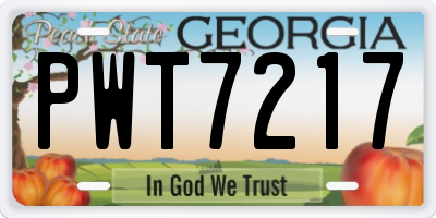 GA license plate PWT7217