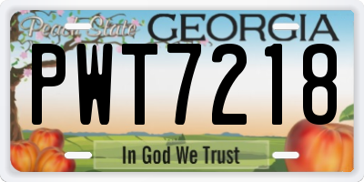 GA license plate PWT7218