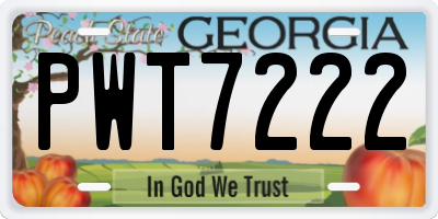 GA license plate PWT7222