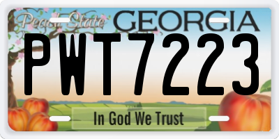 GA license plate PWT7223