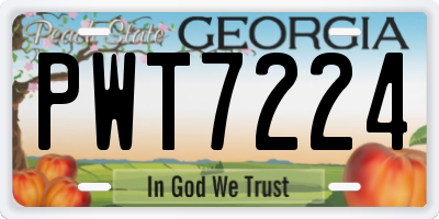 GA license plate PWT7224