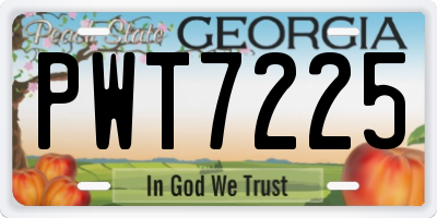 GA license plate PWT7225