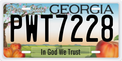 GA license plate PWT7228