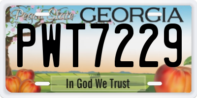 GA license plate PWT7229