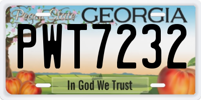 GA license plate PWT7232