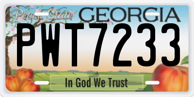 GA license plate PWT7233