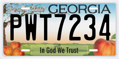 GA license plate PWT7234
