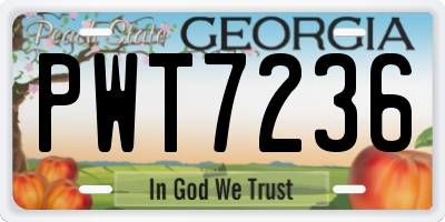 GA license plate PWT7236