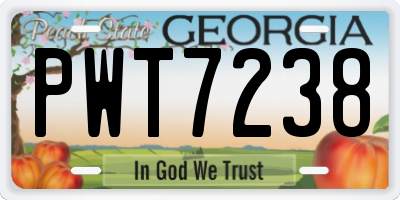 GA license plate PWT7238