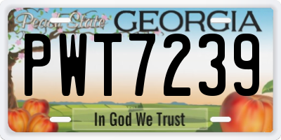 GA license plate PWT7239