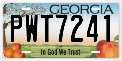 GA license plate PWT7241