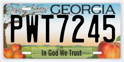 GA license plate PWT7245