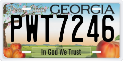 GA license plate PWT7246