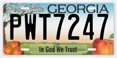 GA license plate PWT7247