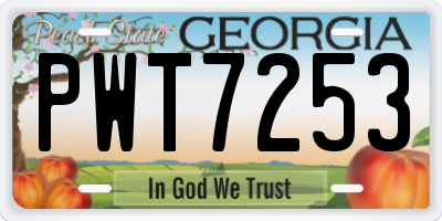 GA license plate PWT7253