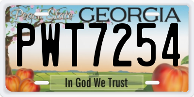 GA license plate PWT7254