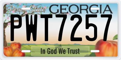 GA license plate PWT7257