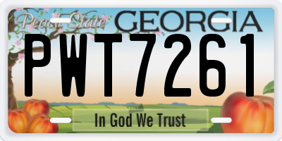 GA license plate PWT7261
