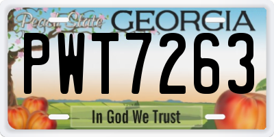 GA license plate PWT7263