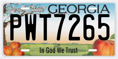 GA license plate PWT7265
