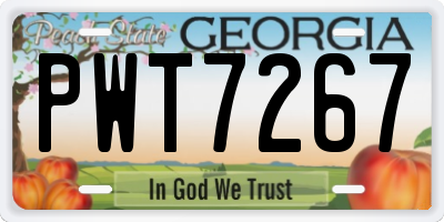 GA license plate PWT7267