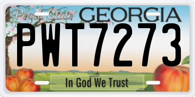 GA license plate PWT7273