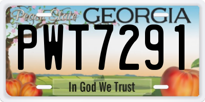 GA license plate PWT7291