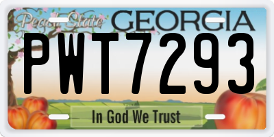 GA license plate PWT7293