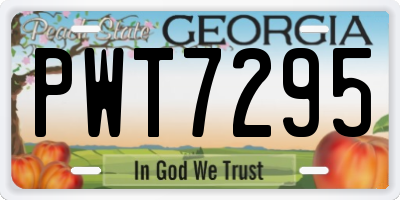 GA license plate PWT7295
