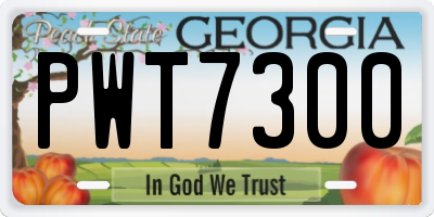 GA license plate PWT7300