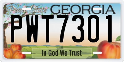 GA license plate PWT7301