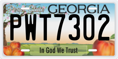 GA license plate PWT7302