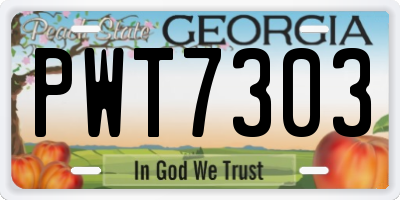 GA license plate PWT7303