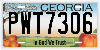 GA license plate PWT7306