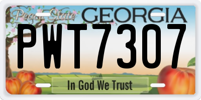 GA license plate PWT7307