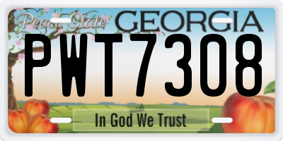 GA license plate PWT7308