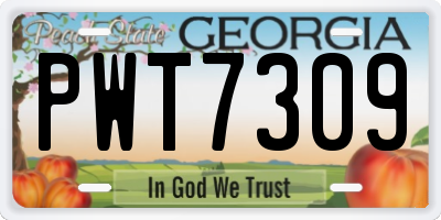 GA license plate PWT7309