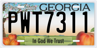 GA license plate PWT7311