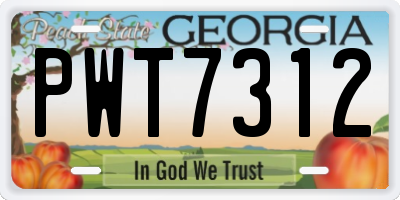 GA license plate PWT7312