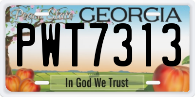 GA license plate PWT7313