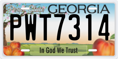 GA license plate PWT7314
